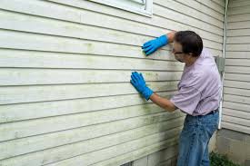 Professional Siding in Grayslake, IL